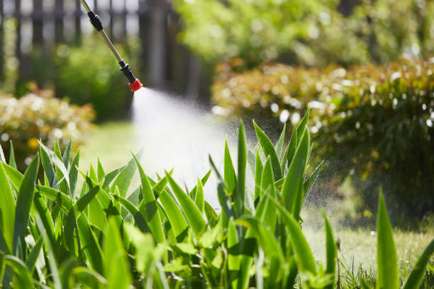 Tamper-Resistant Bait Stations for Rodents in Fredericksburg