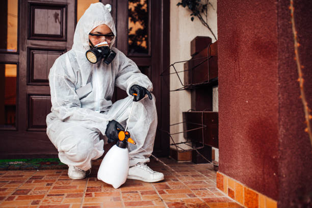 Attic and Crawl Space Rodent Treatment in Fredericksburg