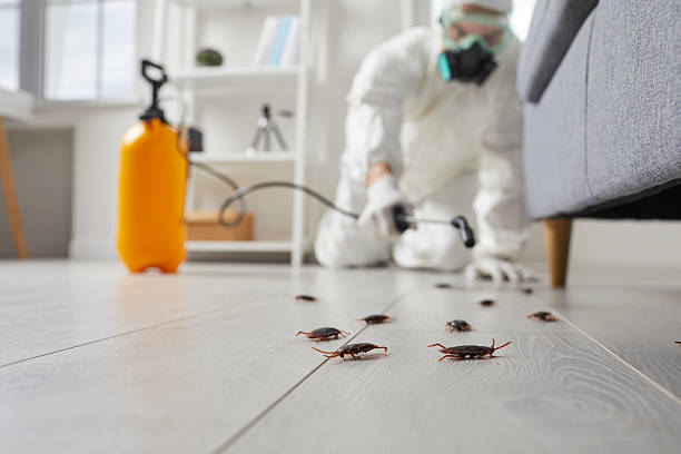 Commercial Rodent Management in Fredericksburg